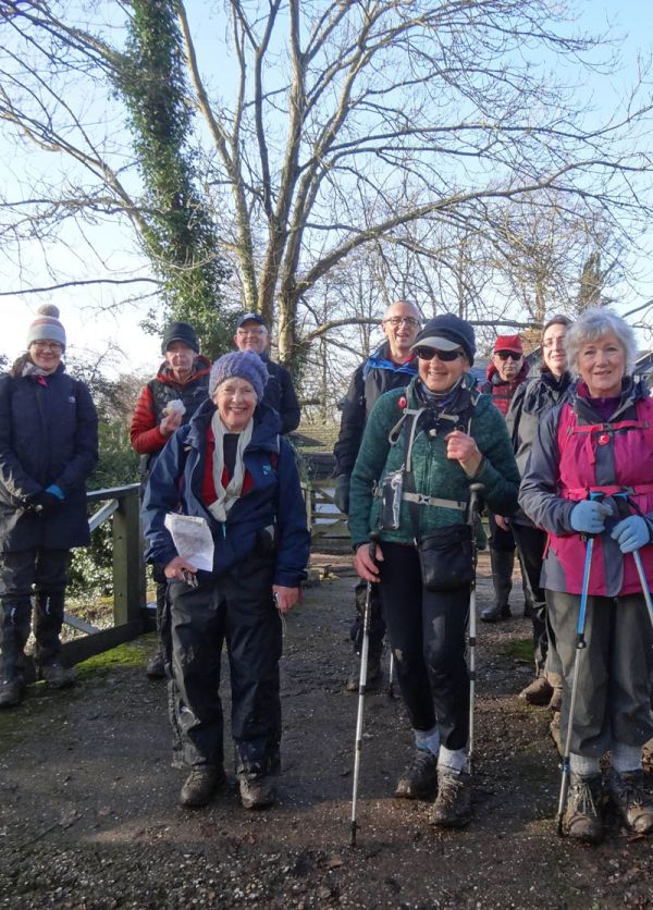 Group of walkers